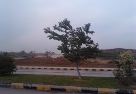 Gulberg-Residencia-Islamabad-Pictures-67