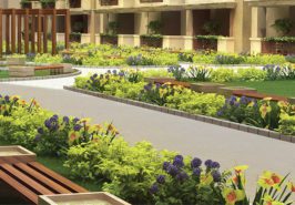 Centrium Lawn