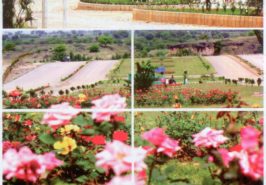 CBR Town Phase 2 Islamabad Pictures 8
