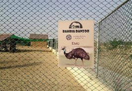 Bahria Town Karachi Night Safari Zoo Pictures 12
