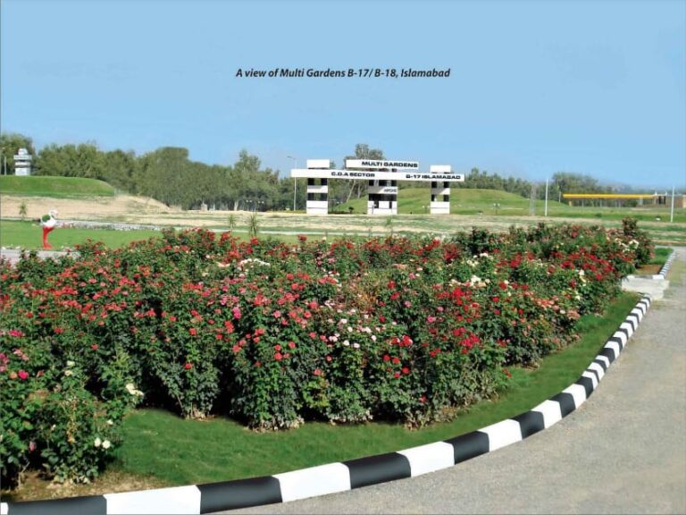 CDA Sector B-17 Block D, 8 Marla Residential Plot For Sale
