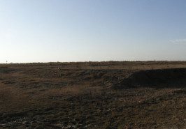 Islamabad Sector I-16/2: 25×50 Plot for Sale