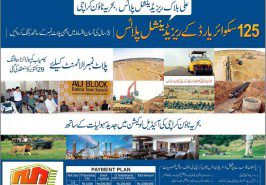 Bahria-Town-Karachi-Ali-Block-Booking