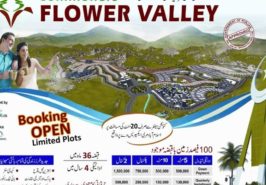 Commoners-Sky-Gardens-Flower-Valley