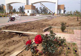 5 Kanal Farm Houses, D Block, MPCHS Orchards Islamabad