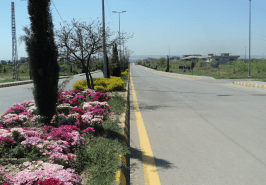 40×80 Plot on Service Road, Block F, Naval Anchorage Islamabad
