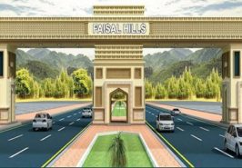 Zedem Faisal Hills Taxila