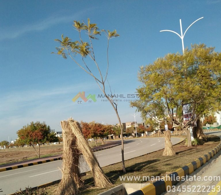 Possession Ready 7 Marla Plot for Sale in V Block, Gulberg Residencia Islamabad