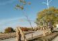 Possession Ready 7 Marla Plot for Sale in V Block, Gulberg Residencia Islamabad