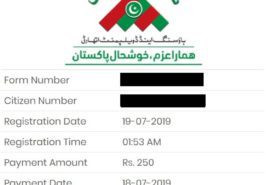 Naya Pakistan Registraiton Receipt