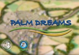 Palm Dreams Karachi