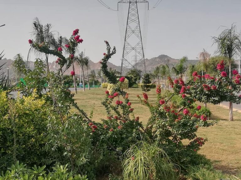 Multi Gardens B-17 Sector A Islamabad: 1 Kanal Residential Plot for Sale