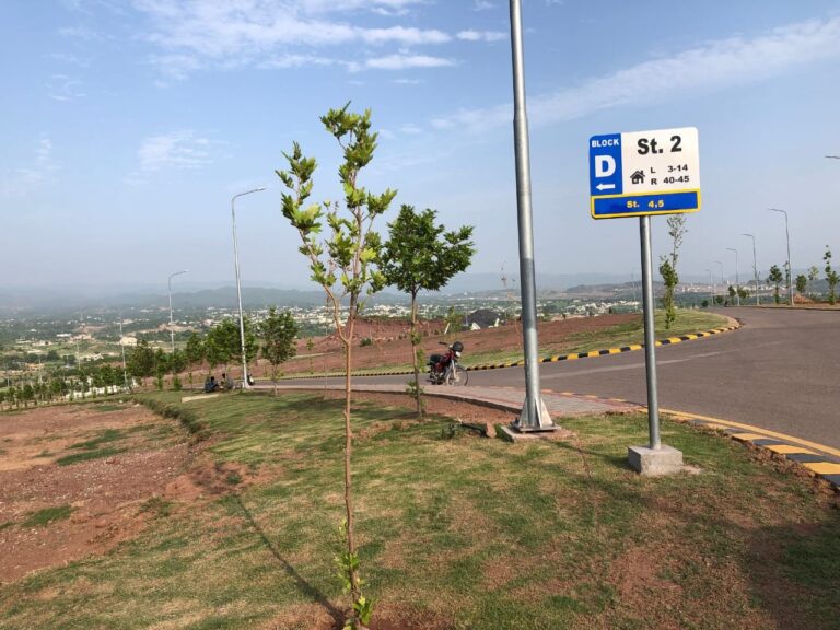 block d development