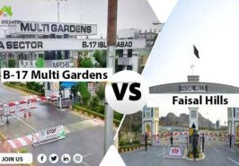 B-17 Multi-Gardens Vs Faisal Hills Main Image