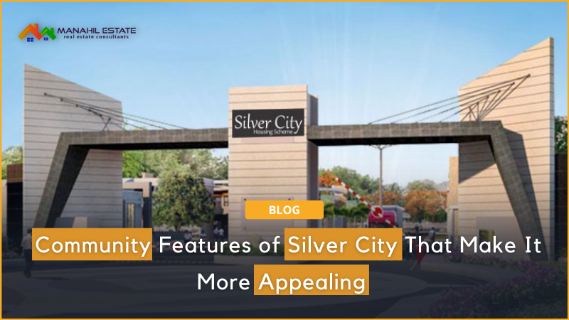 Features of Silver City Banner