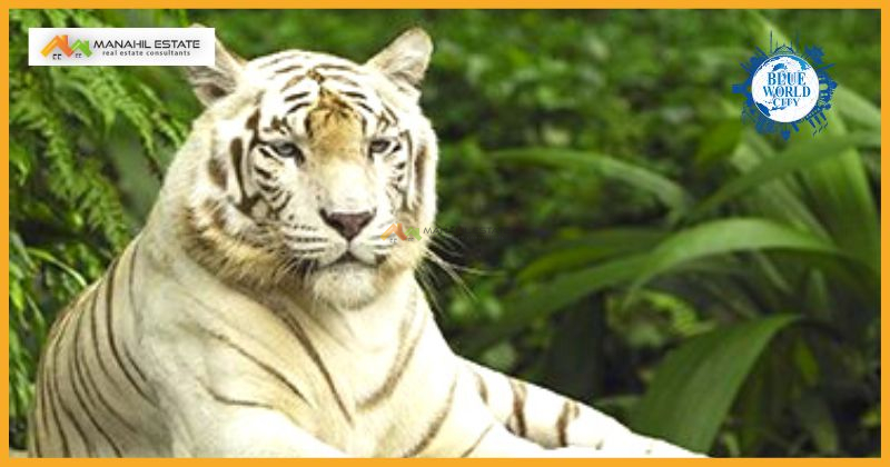 Zoo