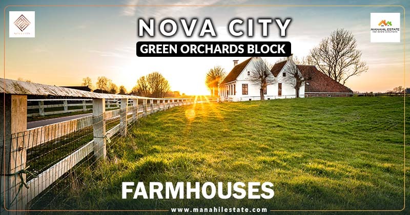 Nova City Green Orchard Farmhouses