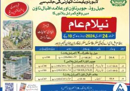 LDA grand auction 2024