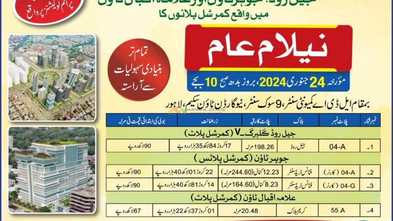 LDA grand auction 2024