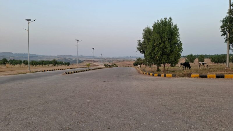 IMG 20251027 WA0045