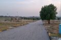 IMG 20251027 WA0053