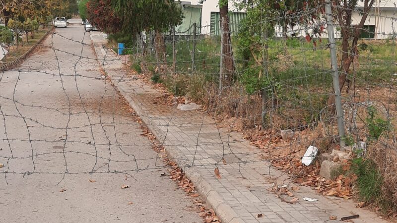 20250409 162610 Scaled