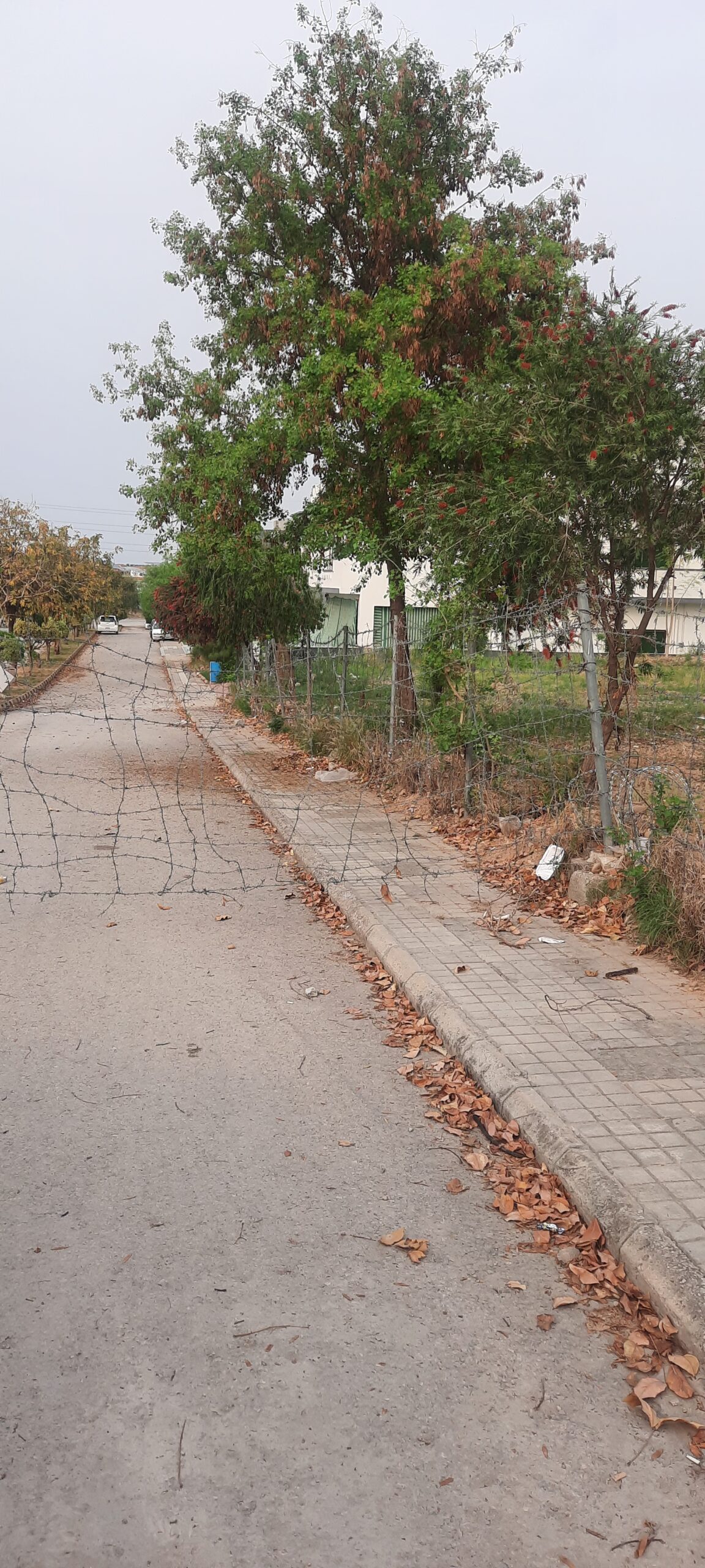 4 Marla Commercial Plot For Sale In DHA Phase 5 Islamabad