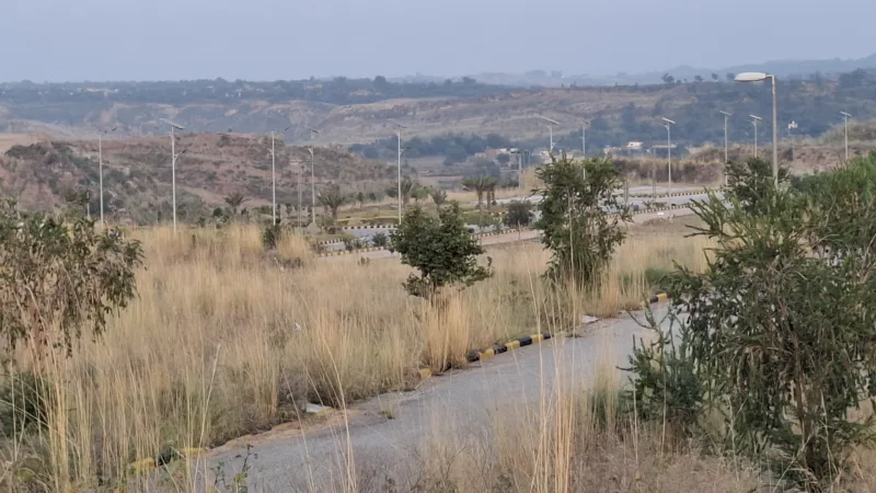 DHA Valley Bluebell Block Images 3 Scaled