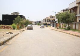 22 Marla Plot for Sale in Usman D Block Bahria Town Safari Valley