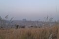 DHA Phase 4 Islamabad Pictures 16 Scaled