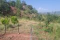 Naval Farms Islamabad Pictures 1