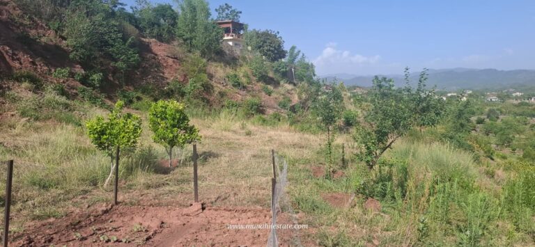 South Face & Corner 5 Kanal Plots | Sector C, Naval Farms Islamabad
