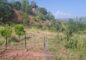 South Face & Corner 5 Kanal Plots | Sector C, Naval Farms Islamabad