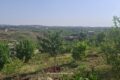 Naval Farms Islamabad Pictures 2