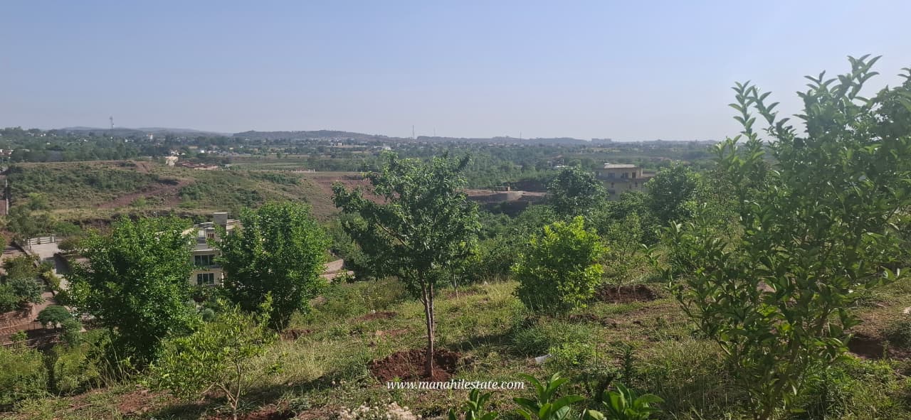 Naval Farms Islamabad Pictures 2