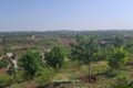 Naval Farms Islamabad Pictures 5