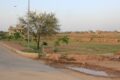 Sector K Bahria Town Phase 8 Rawalpindi Pictures 45 1