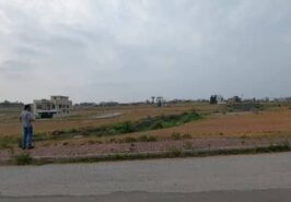Solid Land Plot in Usman D Block Bahria Town Phase 8 Rawalpindi