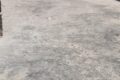 IMG 20260301 WA0035