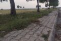 1001843021 Scaled