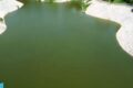 IMG 20260402 WA0038