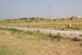 Sector F3 Bahria Town Phase 8 Rawalpindi Pictures 55