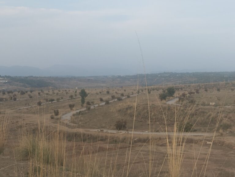 Premium Residential: 01 Kanal Plot for Sale in DHA Phase 6 Islamabad