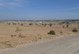 Solid Investment: Sector C-3 Extension, DHA Phase 6 Islamabad 1 Kanal Plot for Sale