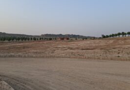 Solid Investment: Sector C-3 Extension, DHA Phase 6 Islamabad 1 Kanal Plot for Sale