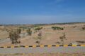 DHA Valley Bluebell Block Images 1 2