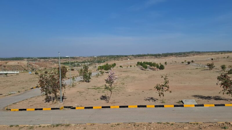 DHA Valley Bluebell Block Images 1 2