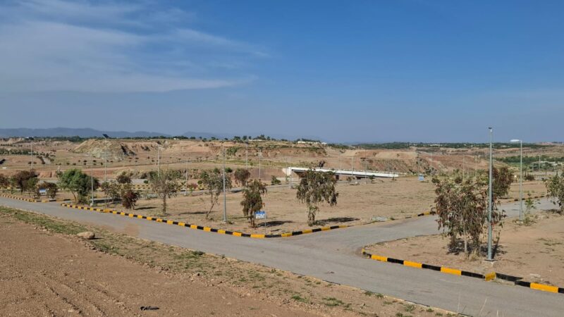 DHA Valley Bluebell Block Images 13