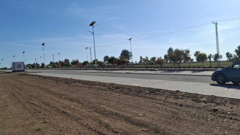 DHA Valley Bluebell Block Images