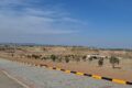 DHA Valley Bluebell Block Images 9 1